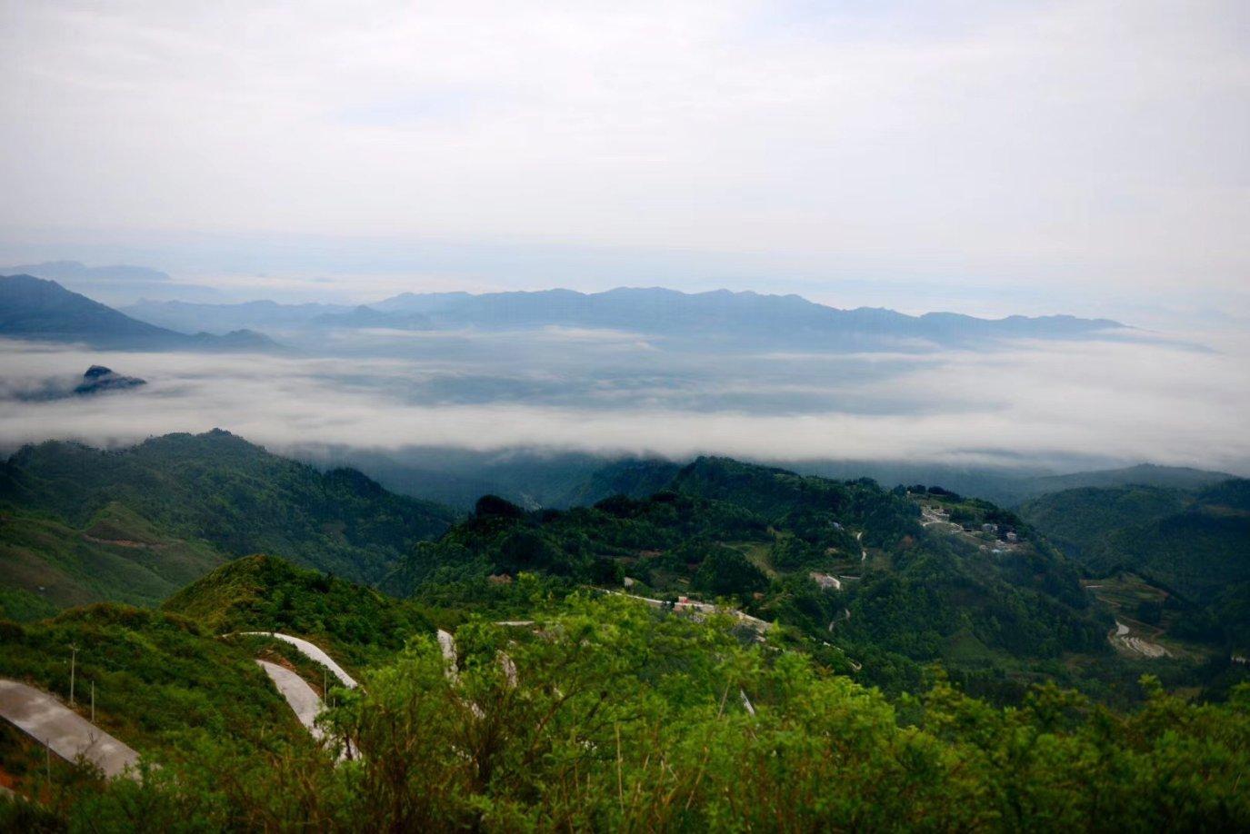 逃离别墅度假村