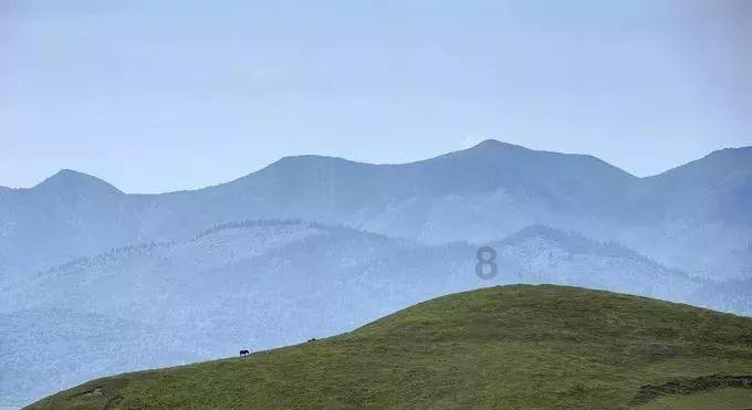 旅途/风之旅人
