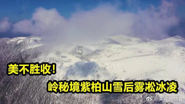 拯救蝙蝠家族