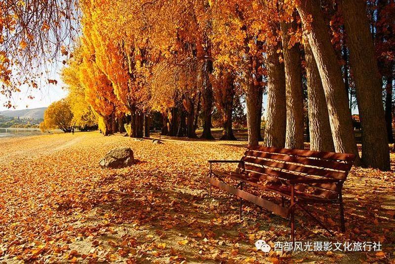 清理草坪