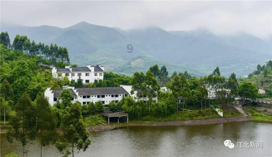 动物帮帮忙保卫家园