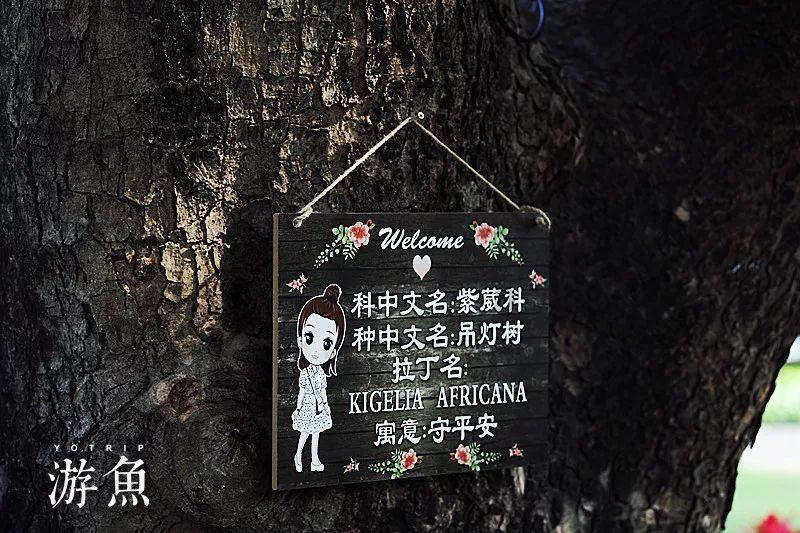“两弹元勋”郭永怀去世后,独生女成了下乡知青,连初中都没毕业