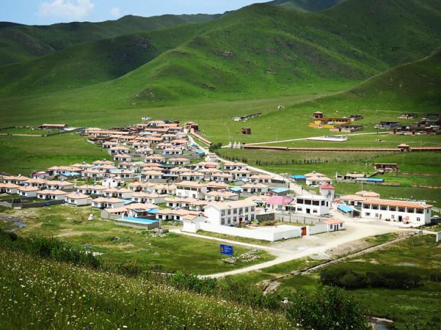 世界：螨虫真的那么可怕吗游戏画面