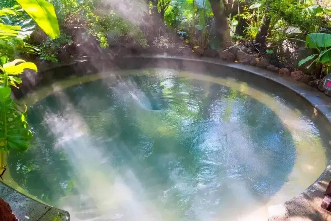 蝴蝶领结