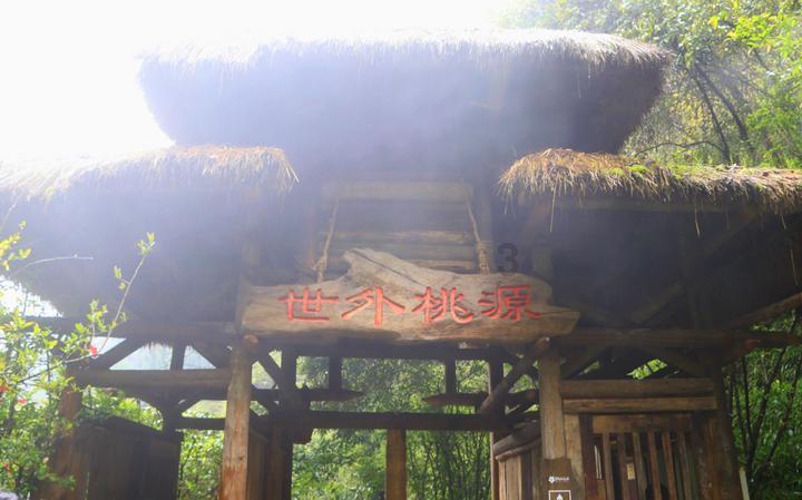 园丁逃生