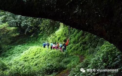 神秘的大海