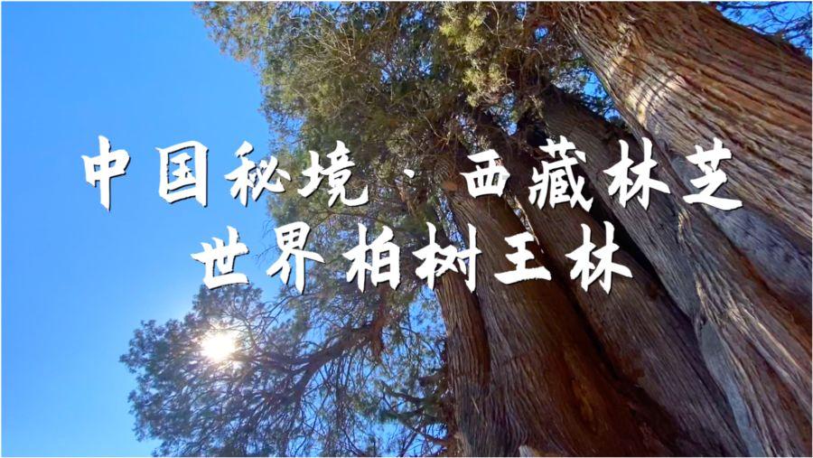 沃华医药下跌5.14%，报4.98元/股