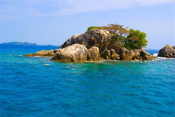 沪江开心词场