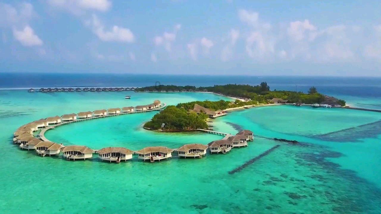 动词游戏