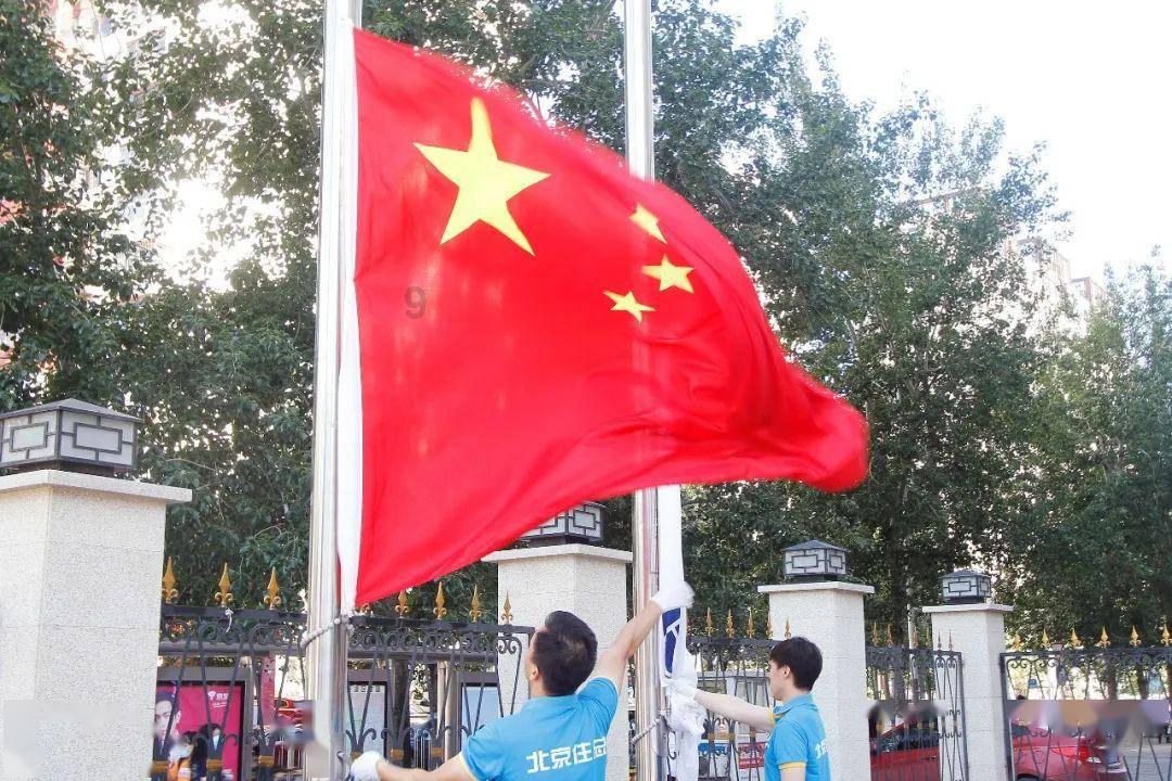 拯救精灵的土地5