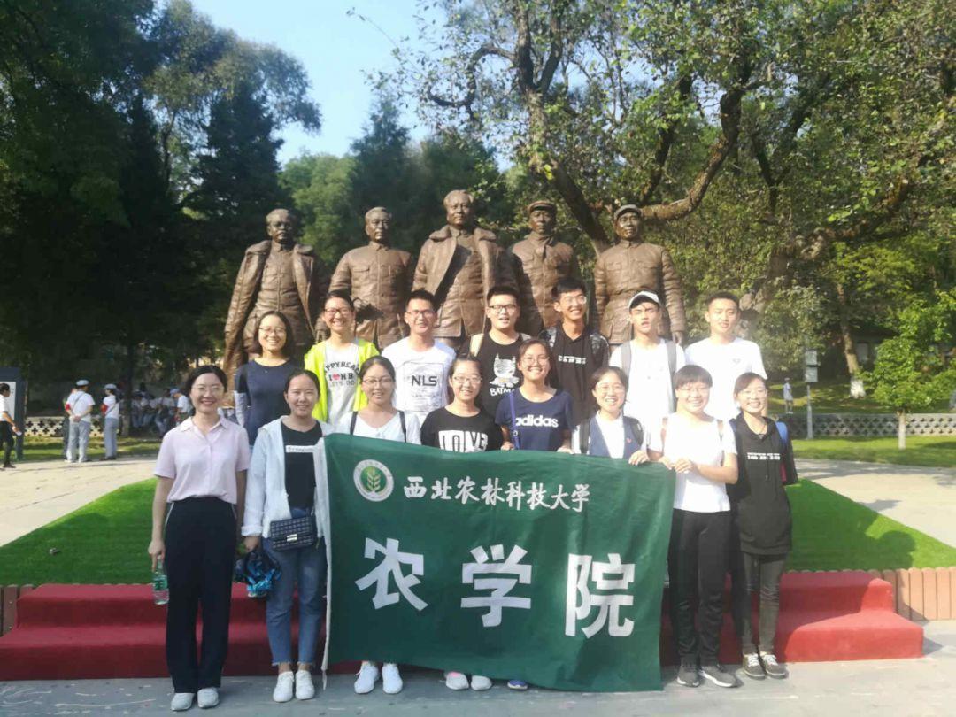 命运骰子