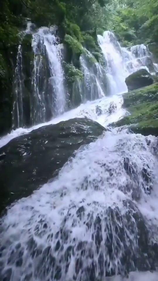 拯救落难小鸟