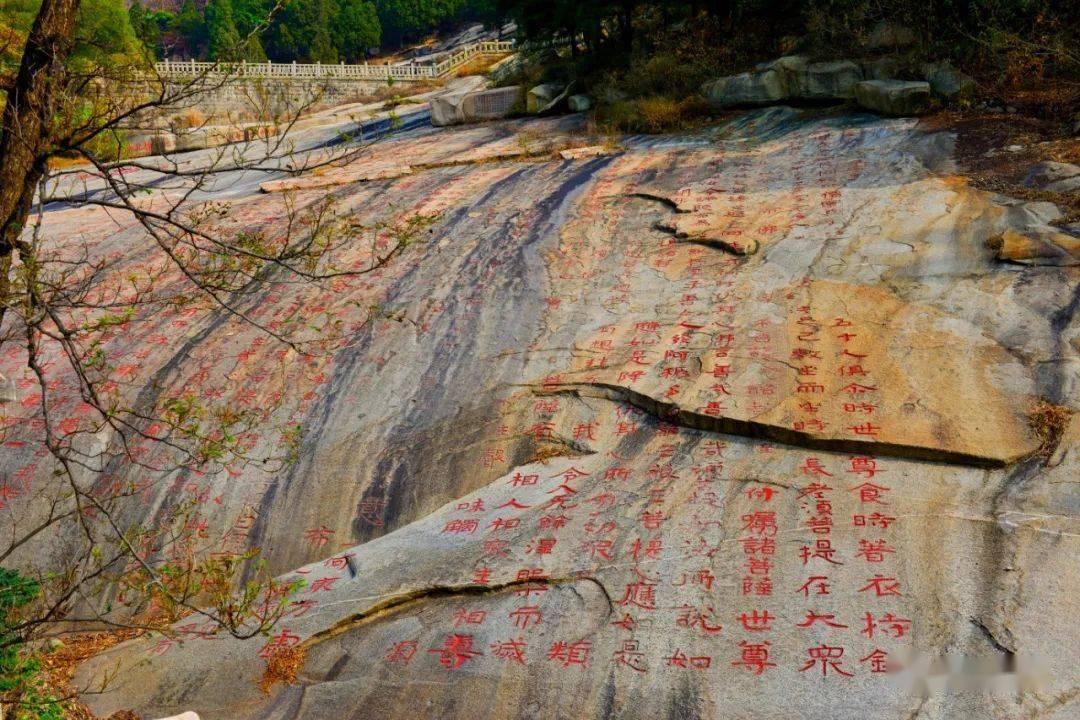 水星家纺:首次回购60.44万股