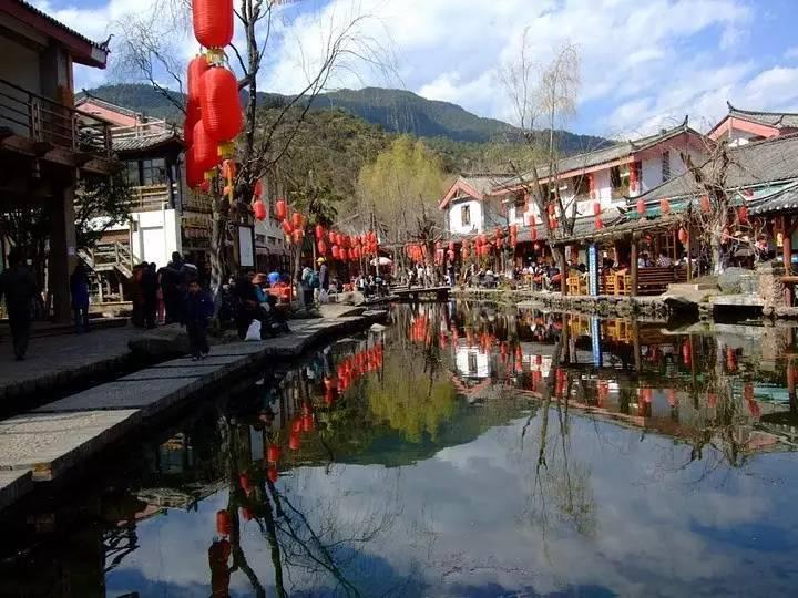 救援鹦鹉