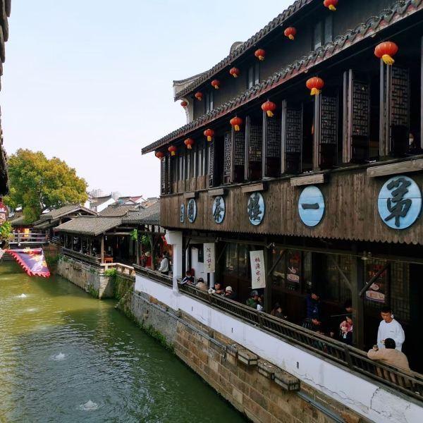 动物帮帮忙保卫家园