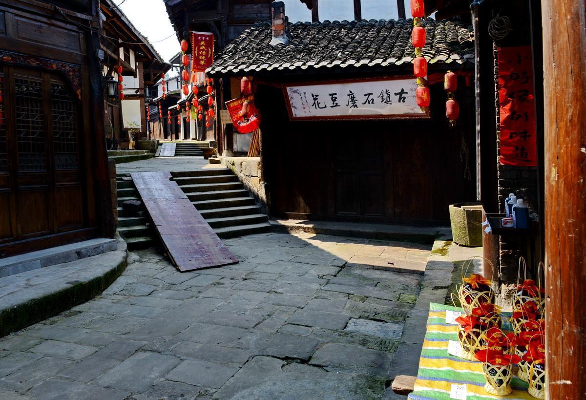 沙皮狗逃离
