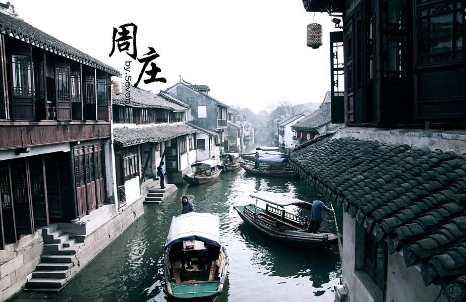 寂静森林找星星