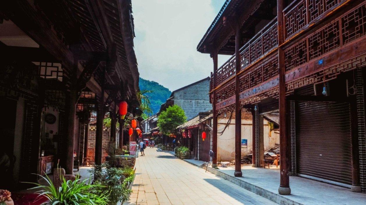 捡到一只流浪狗，浑身脏兮兮臭烘烘，结果洗完澡一看瞬间惊艳！