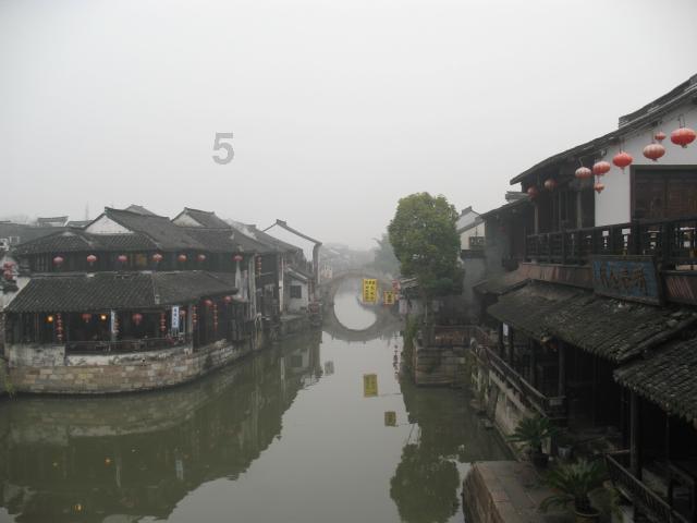 救援可爱小松鼠