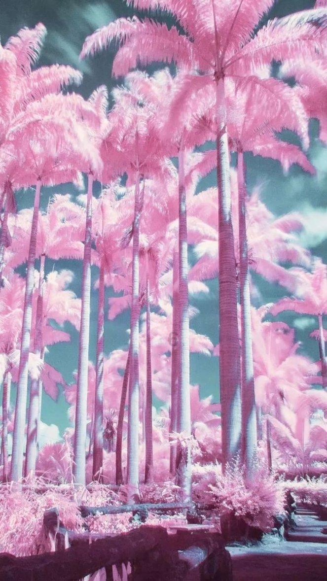 掌趣科技(300315.SZ):相关交流与合作不涉及采购硬件芯片
