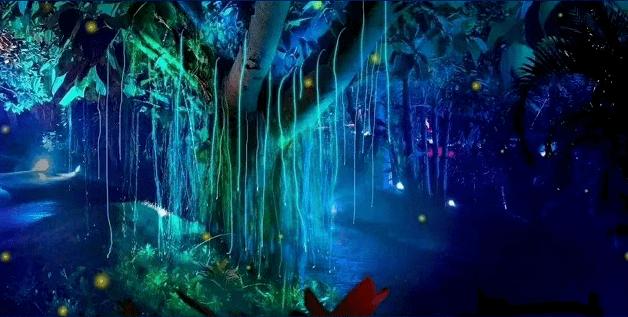 春雨直播app